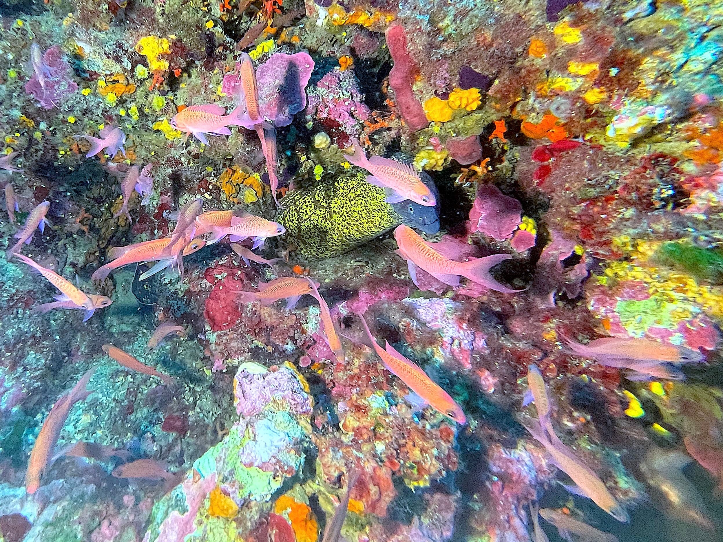 La Méditerranée