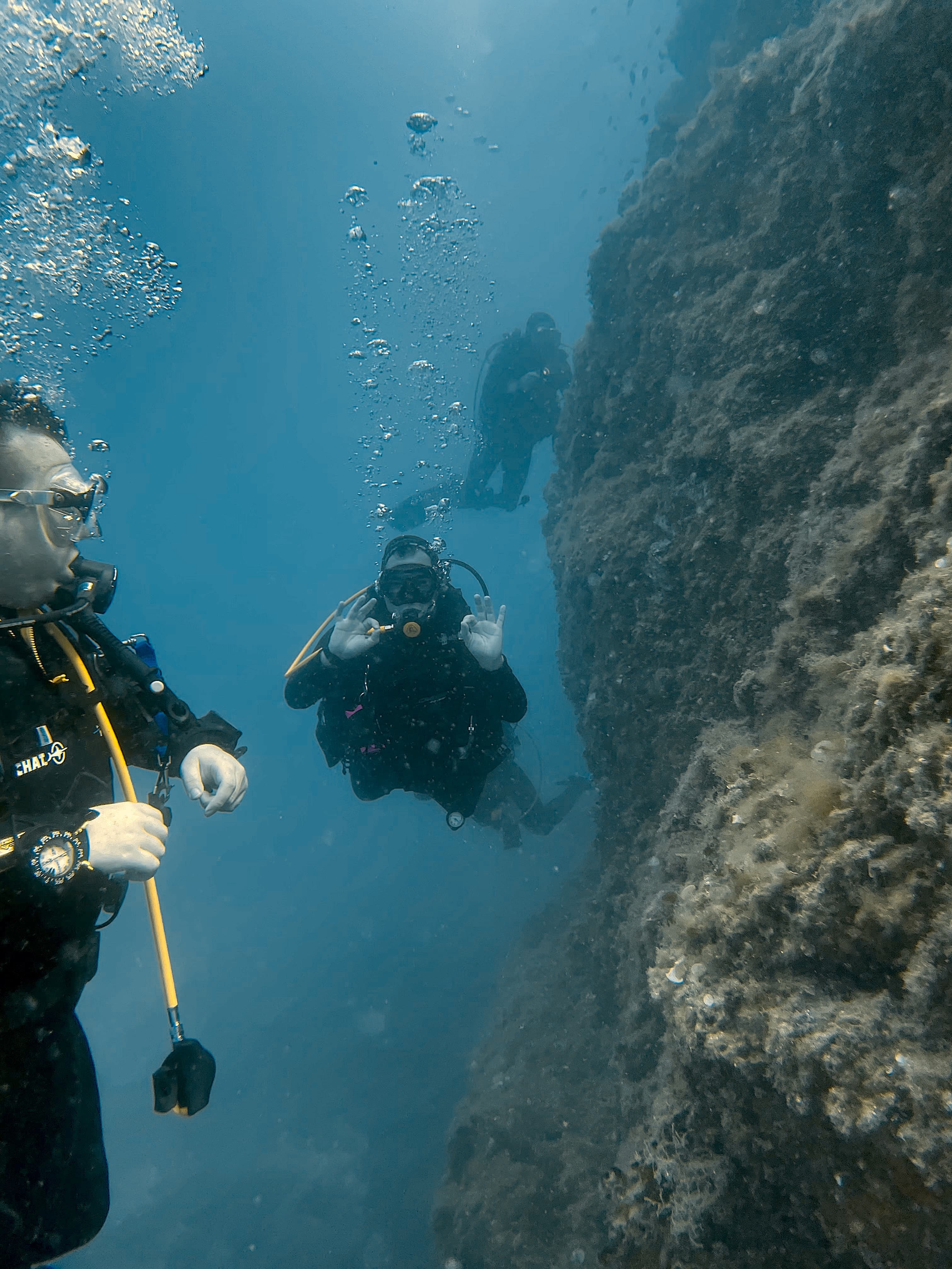 Groupe en formation plongée dans un bassin